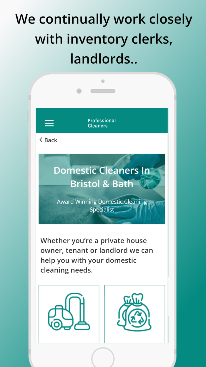 Professional Cleaners