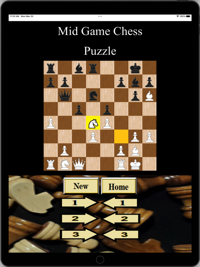 MidGameChess