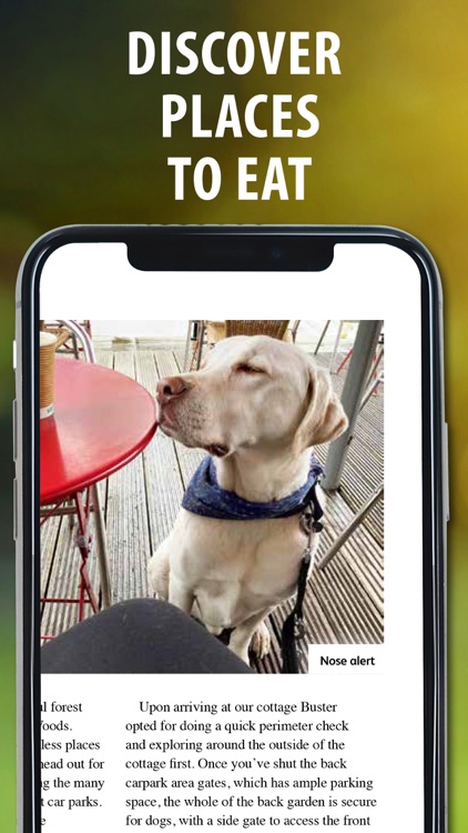 Dog Friendly Magazine