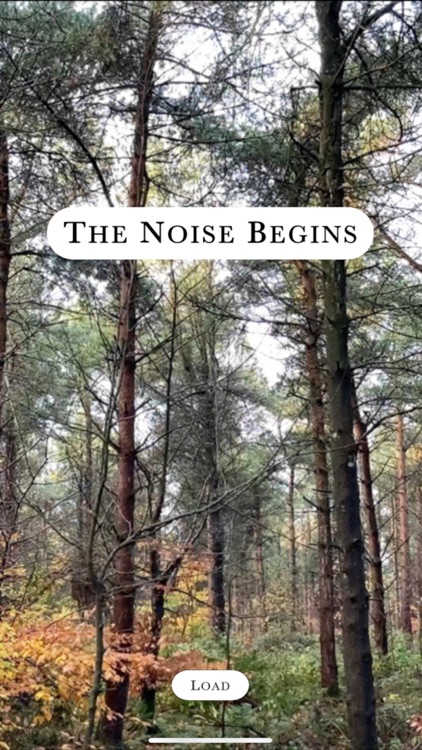 The Noise Begins