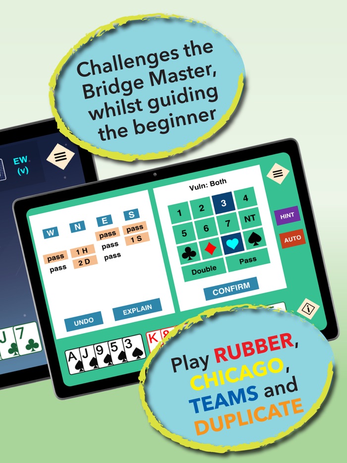 Bridge Ace  Bridge Card Game