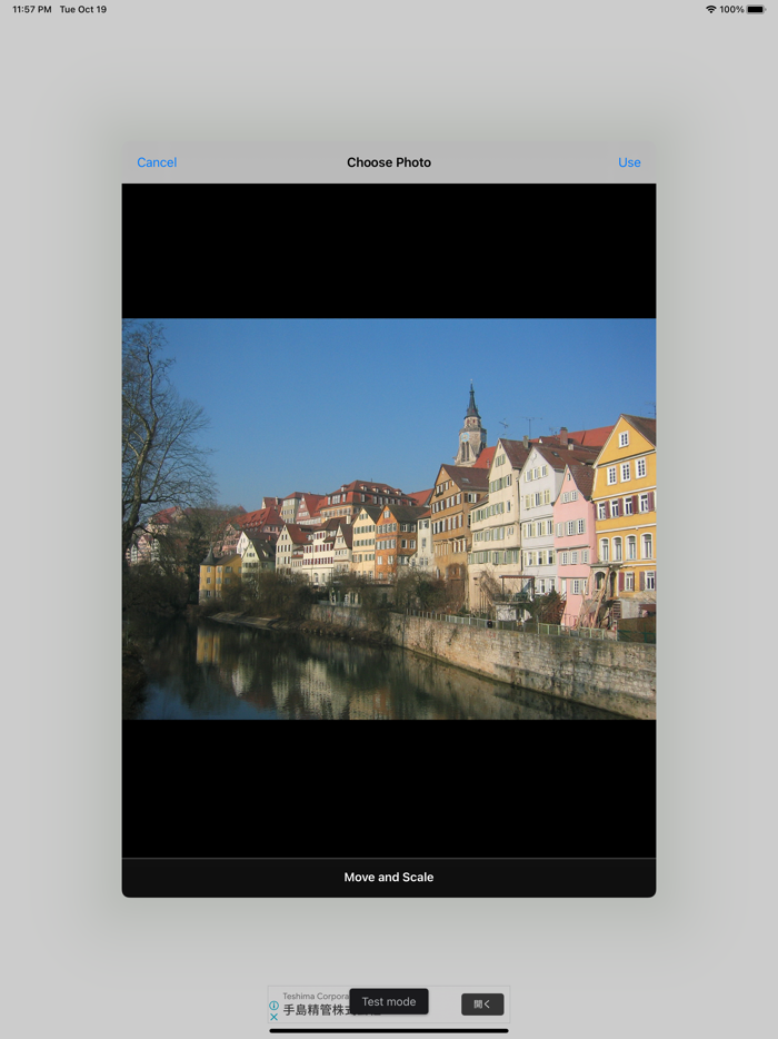 Art Style - styled photo