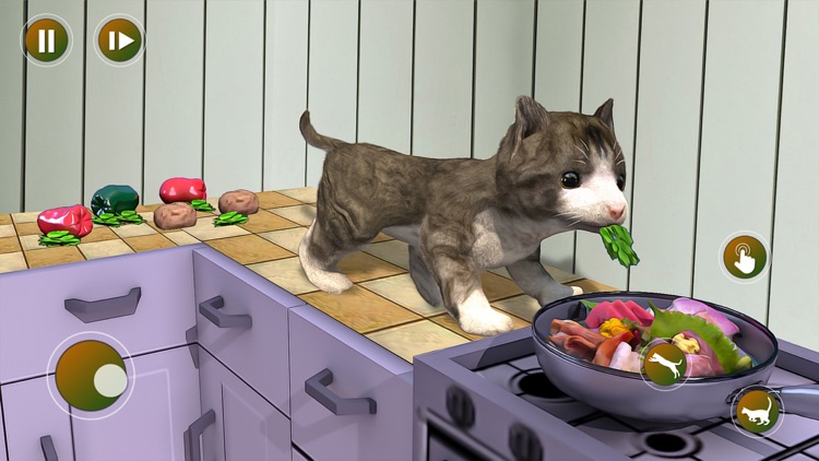 Stray Street Cat Simulator 3D screenshot-3