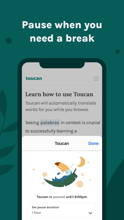 Toucan - Language Learning screenshot-4