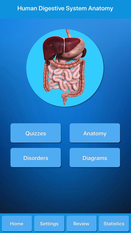 The Digestive System Anatomy