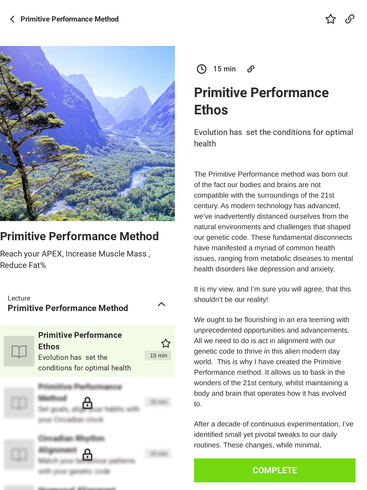 Primitive Performance screenshot 4