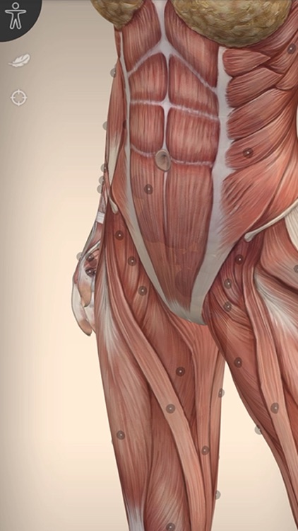 AnatomyMap