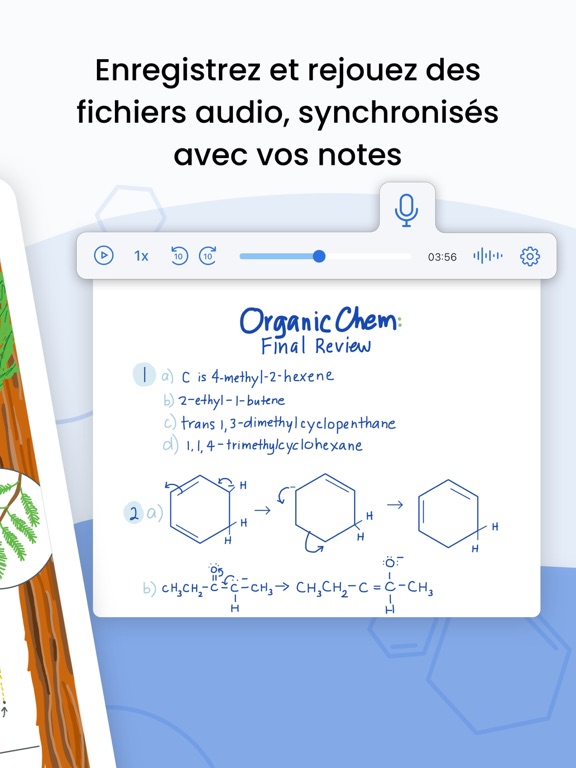 Notability Notability