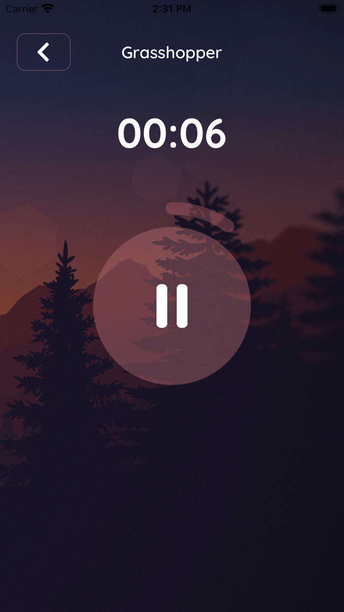 Sleep Sounds and Meditations