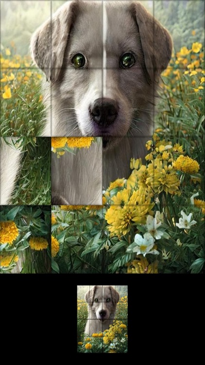 Jigsaw Puzzles Animals #1 screenshot-4