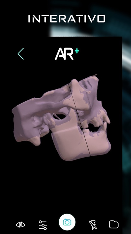 Anatomic Reality + screenshot-4