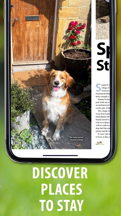 Dog Friendly Magazine screenshot-1