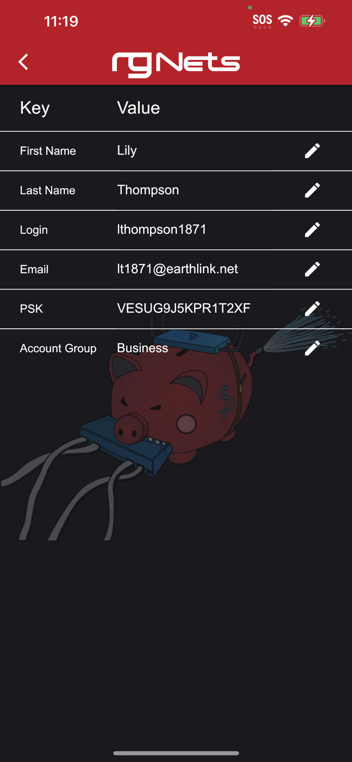 rXg Account Details Editor