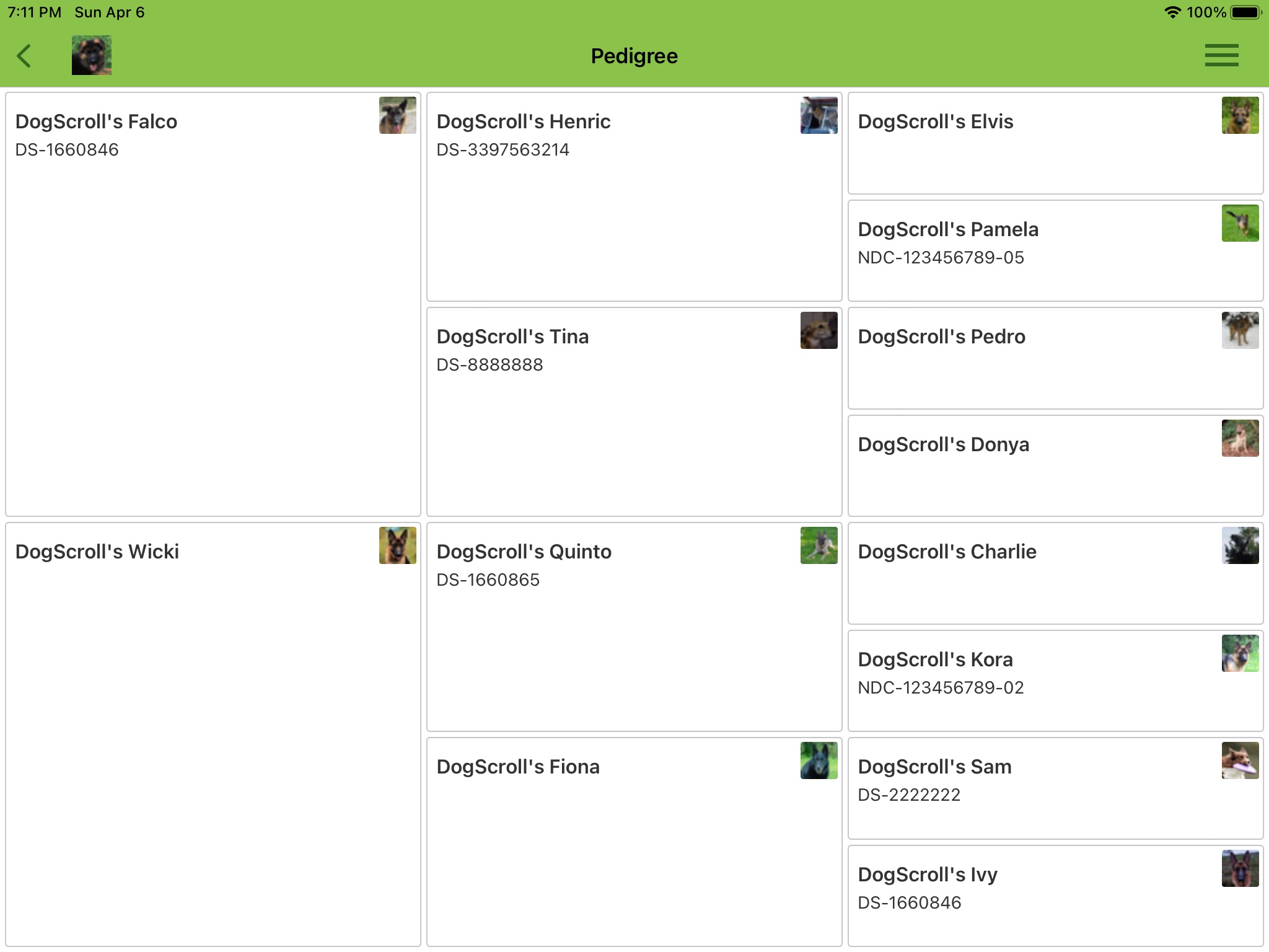 DogScroll screenshot 3