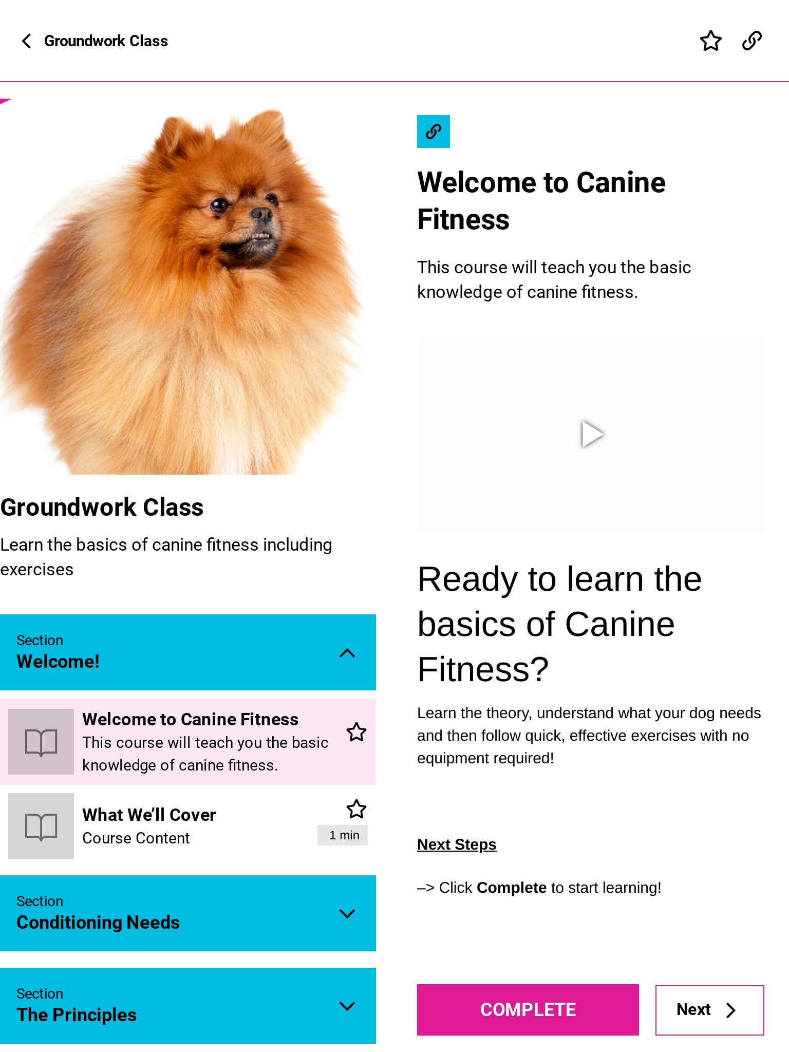 Canine Fitness App screenshot 2