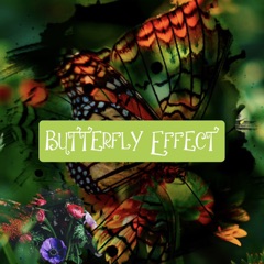 Butterfly Effect 