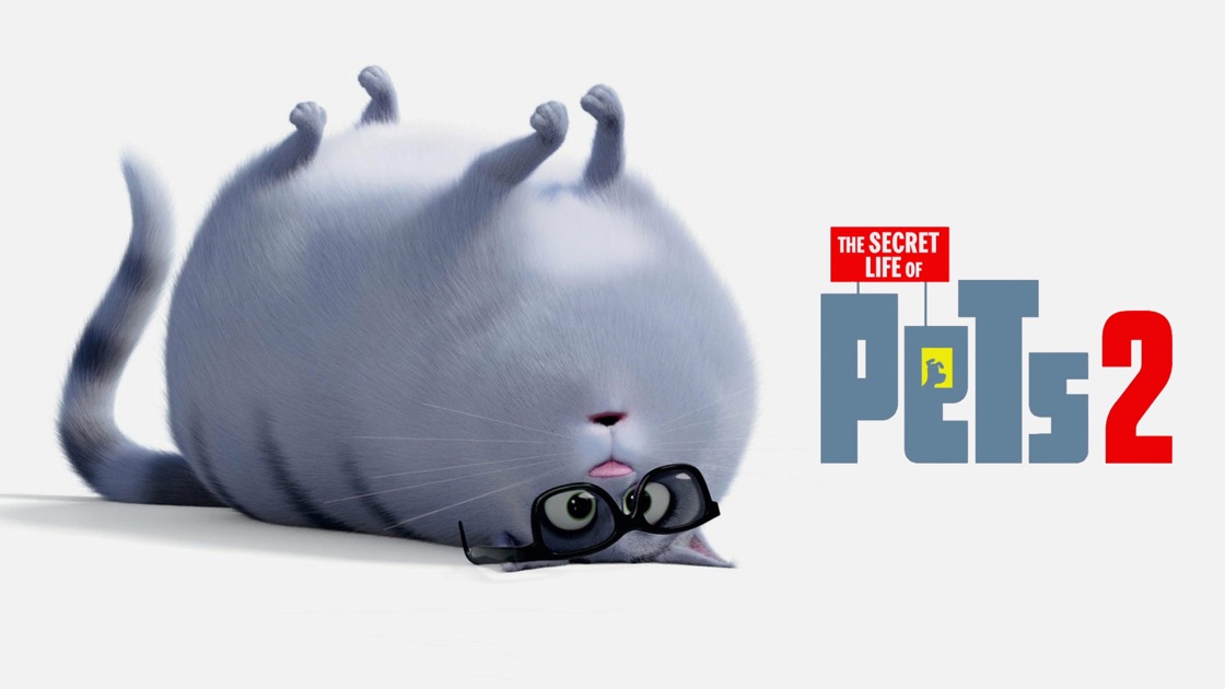 download the new version for android The Secret Life of Pets