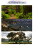 HDSereneScapes: Big Sur Coast, Redwood Coast, Santa Ynez Valley, California (Bundle) - Wayne Williams
