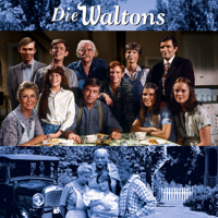 Die Waltons - Die Waltons, Staffel 6 artwork