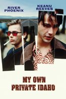 Gus Van Sant - My Own Private Idaho artwork