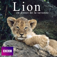 Télécharger Lion en direct de la savanne Episode 1