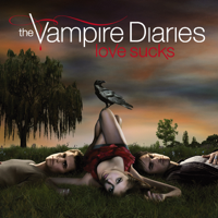 Vampire Diaries - The Vampire Diaries, Staffel 1 artwork