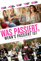 Kirk Jones - Was passiert, wenn's passiert ist (What to Expect When You're Expecting) artwork