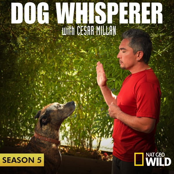 Dog Whisperer Season Episode Dog Whisperer Season Episode