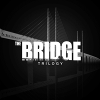 The Bridge - The Bridge Season 1-3 artwork