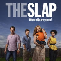 The Slap - The Slap, Season 1 artwork