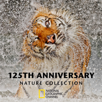 National Geographic 125th Anniversary Nature Collection - National Geographic 125th Anniversary Nature Collection artwork