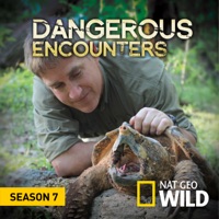 Télécharger Dangerous Encounters, Season 7 Episode 6