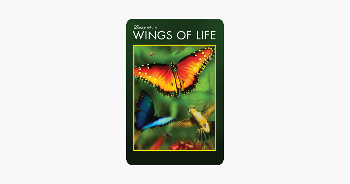 ‎Disneynature: Wings of Life on iTunes