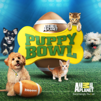 Puppy Bowl - Puppy Bowl XII: Ruff vs. Fluff - The Rematch artwork