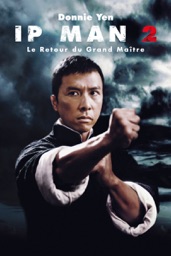 Ip man 2