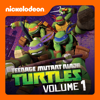 Rise of the Turtles, Pt. 1 - Teenage Mutant Ninja Turtles
