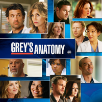 Grey's Anatomy - Grey's Anatomy, Season 8 artwork
