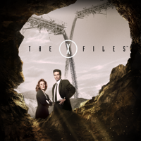 The X-Files - The X-Files, Season 3 artwork