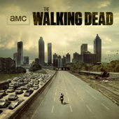 The Walking Dead, Season 1 - The Walking Dead Cover Art