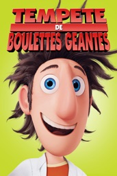 Tempete De Boulettes Geantes