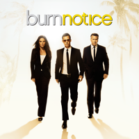 Burn Notice - Burn Notice, Season 6 artwork