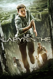 Screenshot Le Labyrinthe