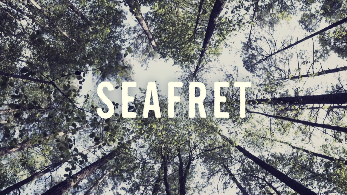 Seafret atlantis. Atlantis Seafret. Seafret Atlantis Lyrics. Seafret - Atlantis (Official Extra Sped up Version). Seafret в Москве 2018.