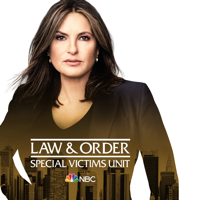 Gimme Shelter - Law &amp; Order: SVU (Special Victims Unit) Cover Art
