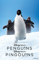 Alastair Fothergill & Jeff Wilson - Disneynature Penguins artwork