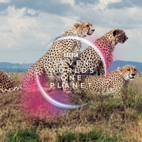 Seven Worlds, One Planet - Africa artwork