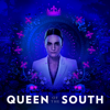 Queen of the South - Un Asunto De Familia  artwork