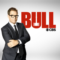 Bull - Bull, Season 4 artwork