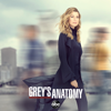 Grey's Anatomy - Sing It Again  artwork