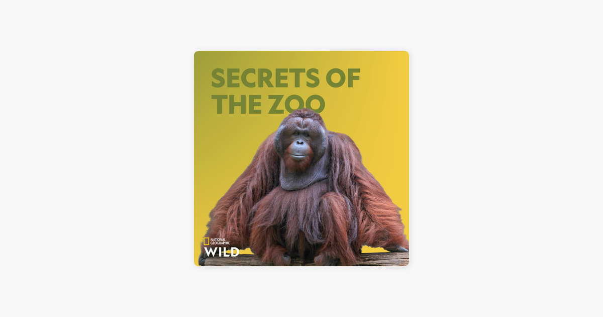 secrets of the zoo